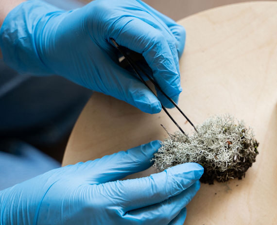 Emilie Ressouche Chemistry Consulting for startups